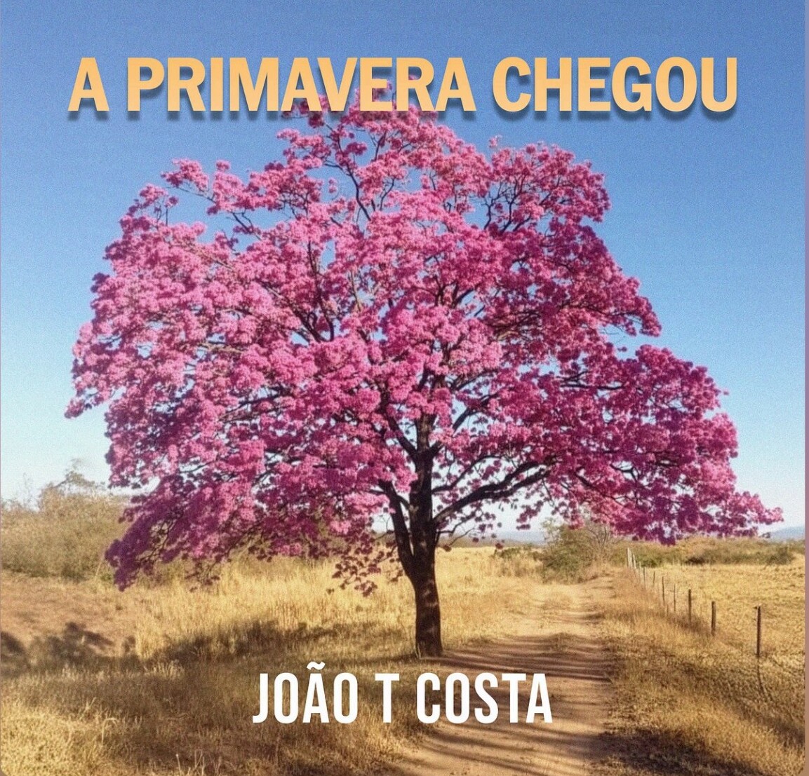 A Primavera Chegou — João T Costa